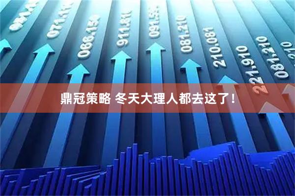 鼎冠策略 冬天大理人都去这了！